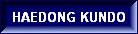 HAEDONG KUMDO